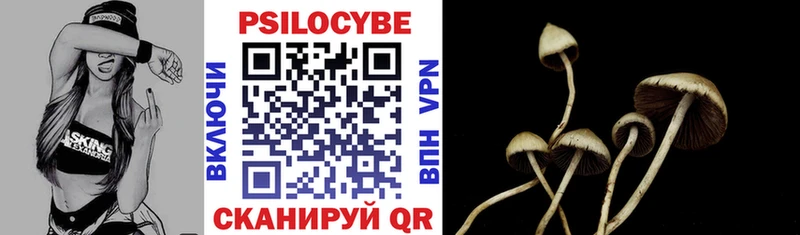 ОМГ ОМГ   Стародуб  Галлюциногенные грибы MAGIC MUSHROOMS 